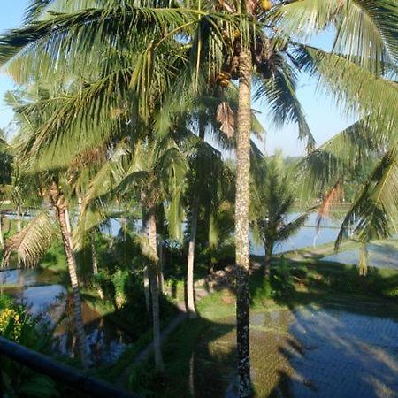 Toko Toko Bungalows Ubud  Exterior photo